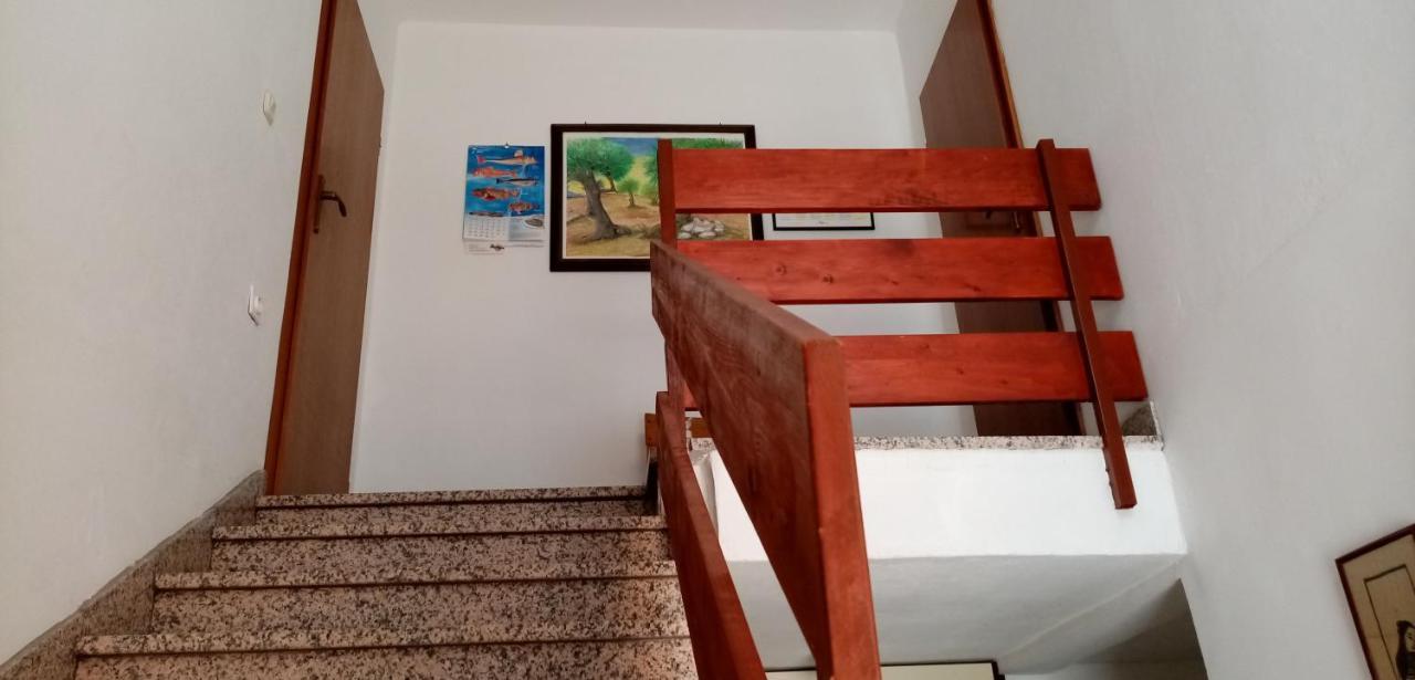 Apartments Bilo Near Primosten Bagian luar foto